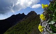 La cavalcata della manzoniana cresta nord del Resegone il 15 maggio 2016 - FOTOGALLERY